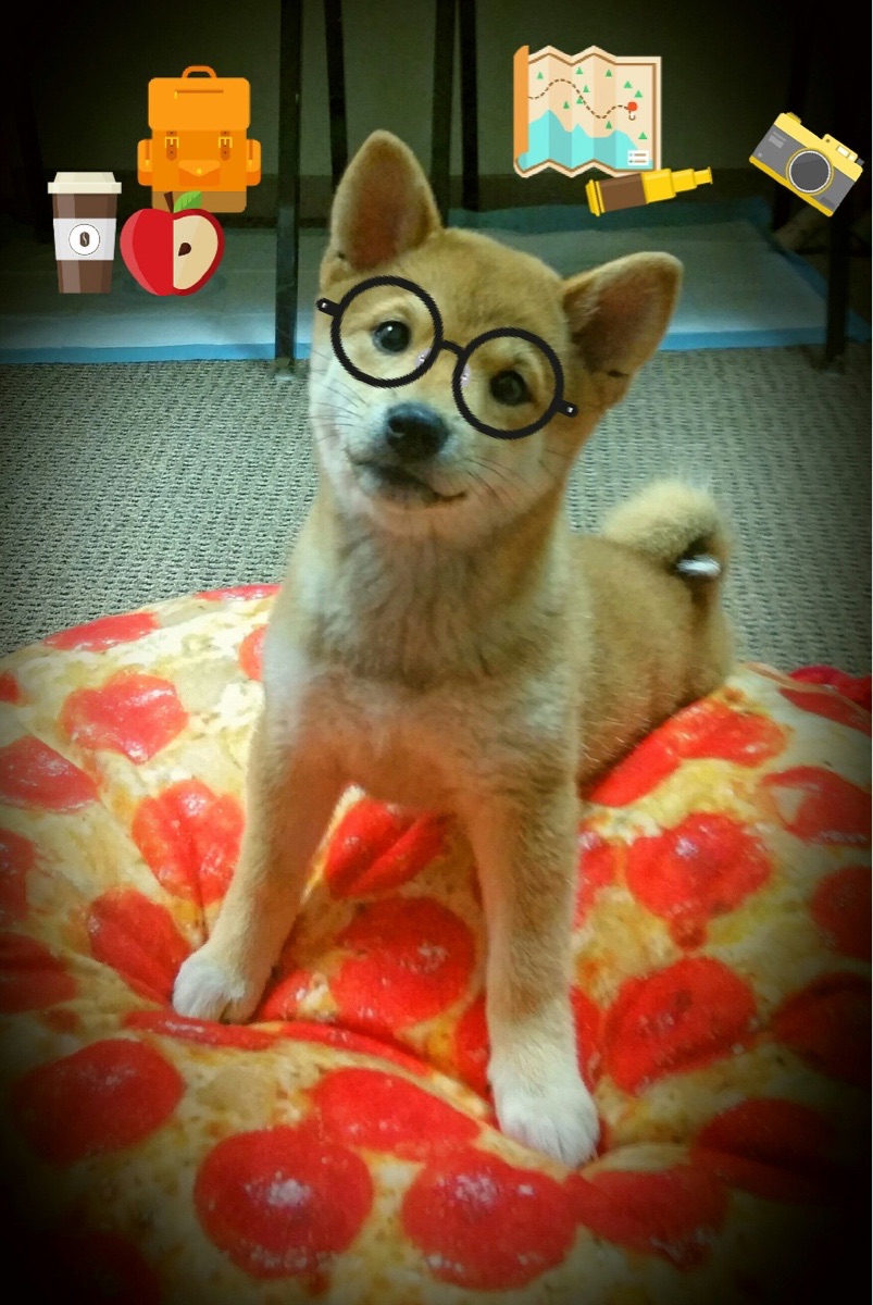 Kaiyun APP-伊朗队中场卡瓦尼在巴黎奥运会上展现出强大的进攻组织能力，伊朗男篮卡兹米