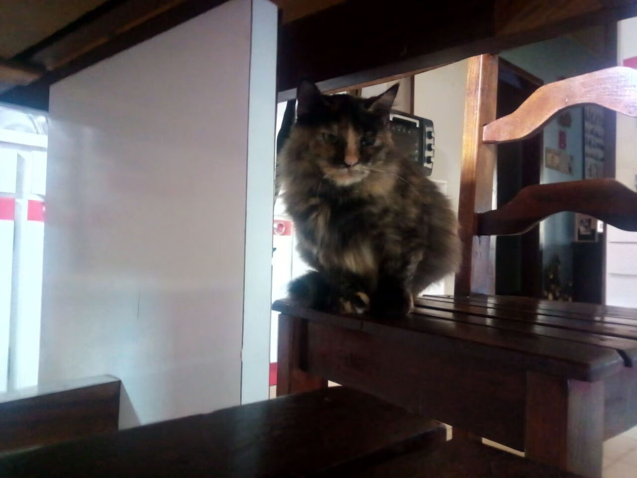 Kaiyun(中国)开云-传统武术比赛，古老技艺的新生力量，2020年传统武术比赛有哪些