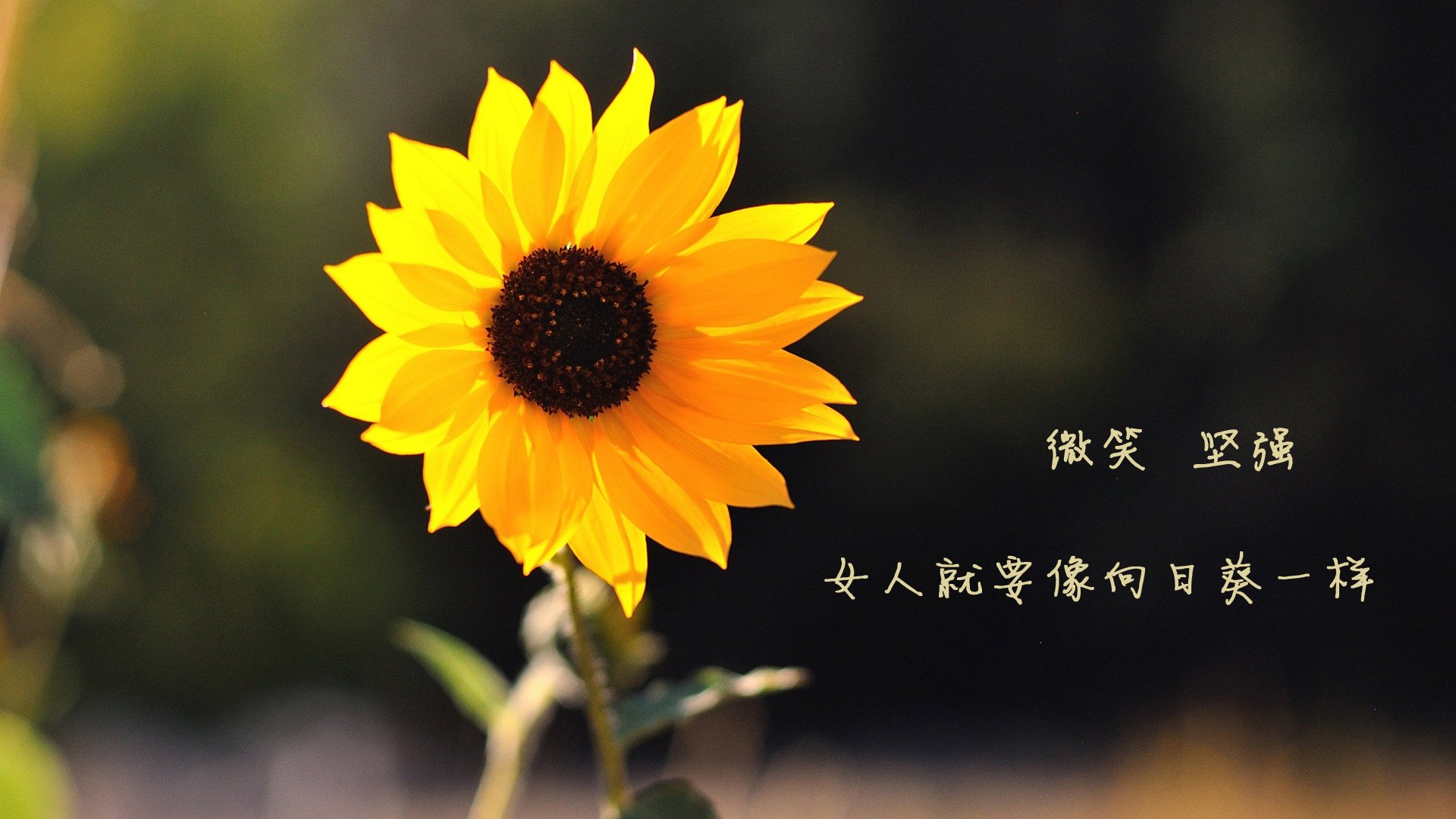 全面升级!青少年“篮球青训基地”在重庆正式投入使用,重庆青少年篮球比赛