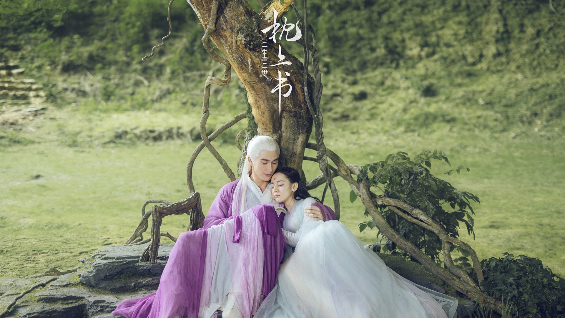 极端天气下的战术调整方案,极端天气解决办法