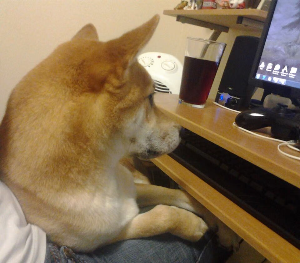 转会:皇马已签下一名欧洲顶级中场,未来可期,皇马球员欧洲杯