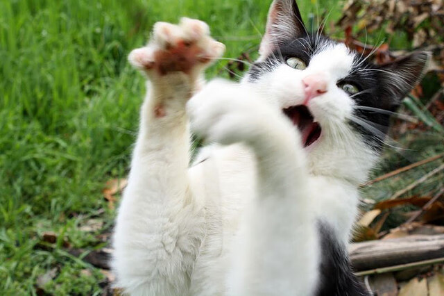 开云体育APP下载-青少年篮球“梦想计划”在多地落地，助推体育教育现代化，青少年篮球训练计划的主要方法内容