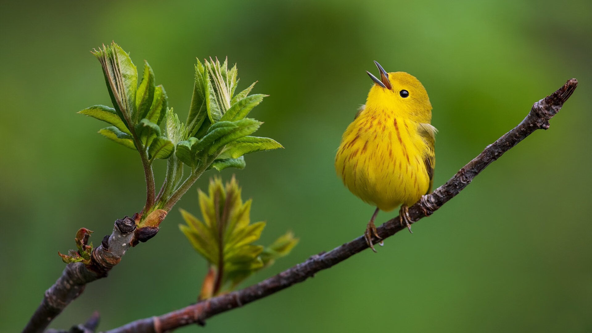 kaiyun登录入口-IG战队完成赛季心理健康状况分析，ig战队2021年