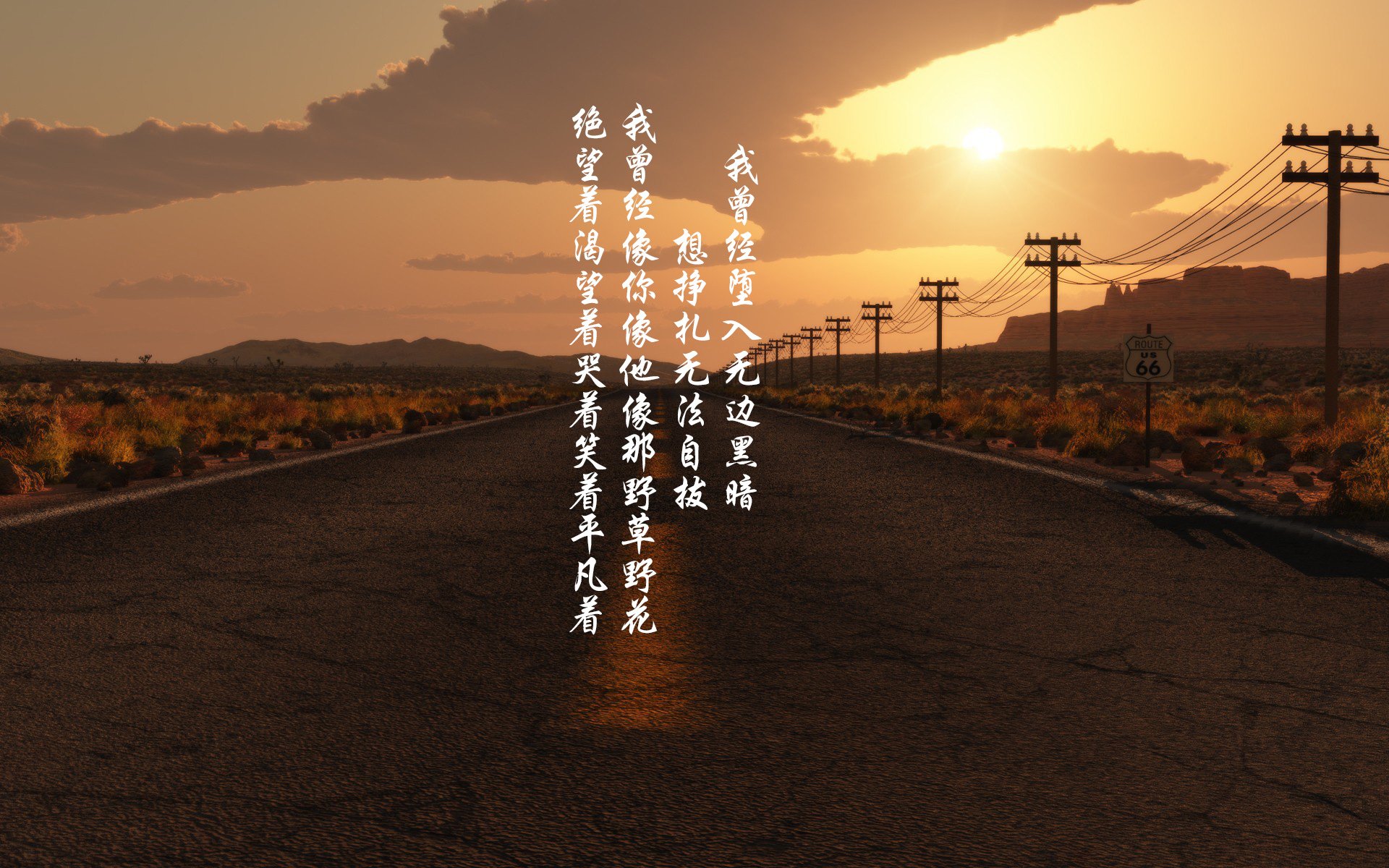 开云官网-LCK联盟开展职业选手技能培训，lck职业选手大全