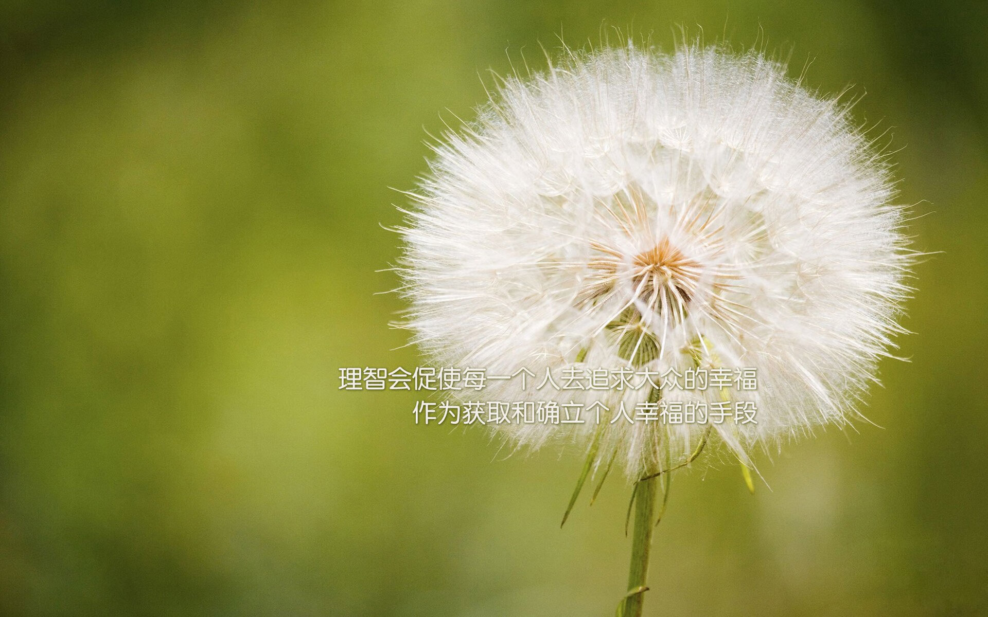 加拿大主帅:输给塞内加尔太正常了,他们配得上胜利,加拿大国家队主教练