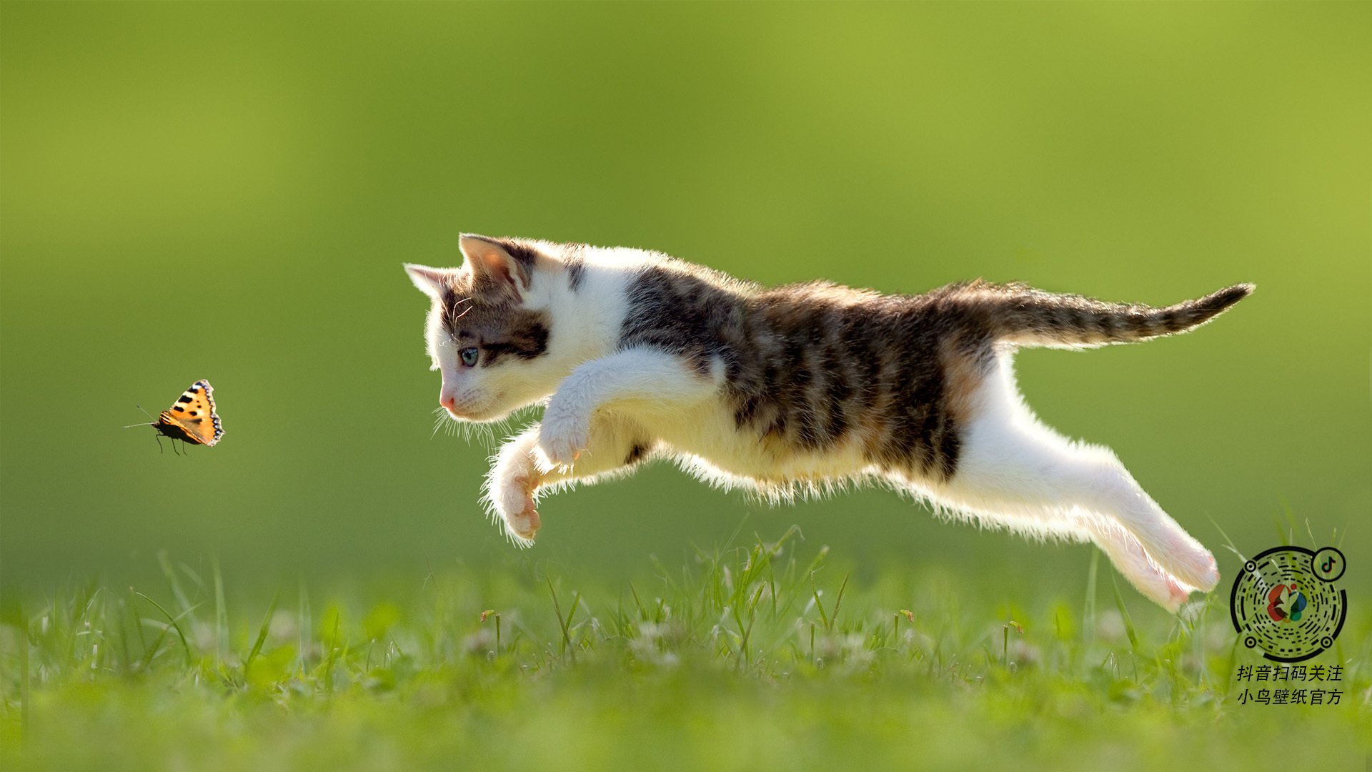 法国举办篮球明星见面会,法国举办篮球明星见面会的是谁