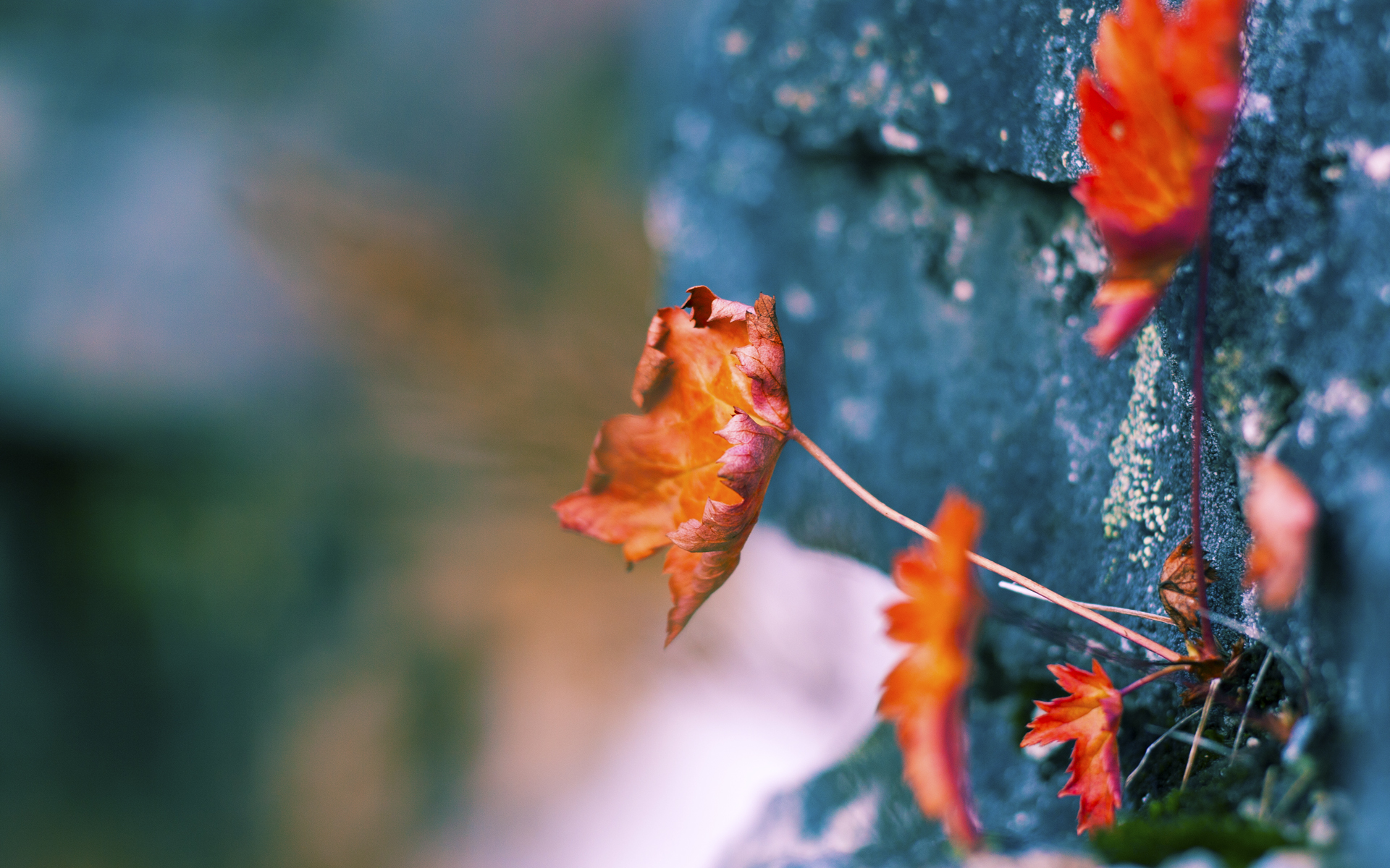 开云官网-热刺客场输给曼联，英超豪门之间的巅峰对决，英超-热刺vs曼联