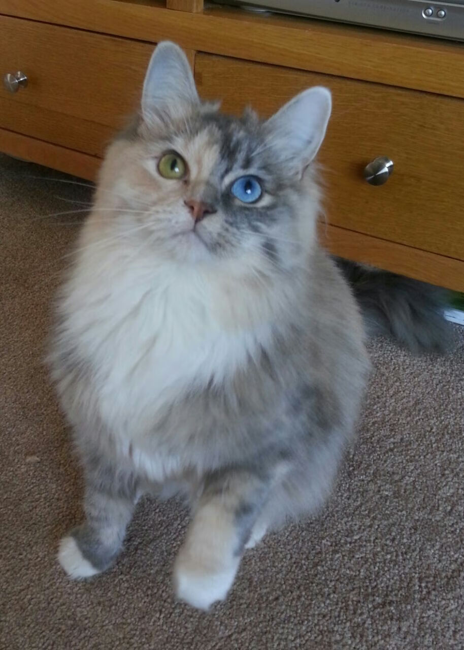 开云平台-福建男篮雄心勃勃，冲刺胜利，福建男篮有什么消息