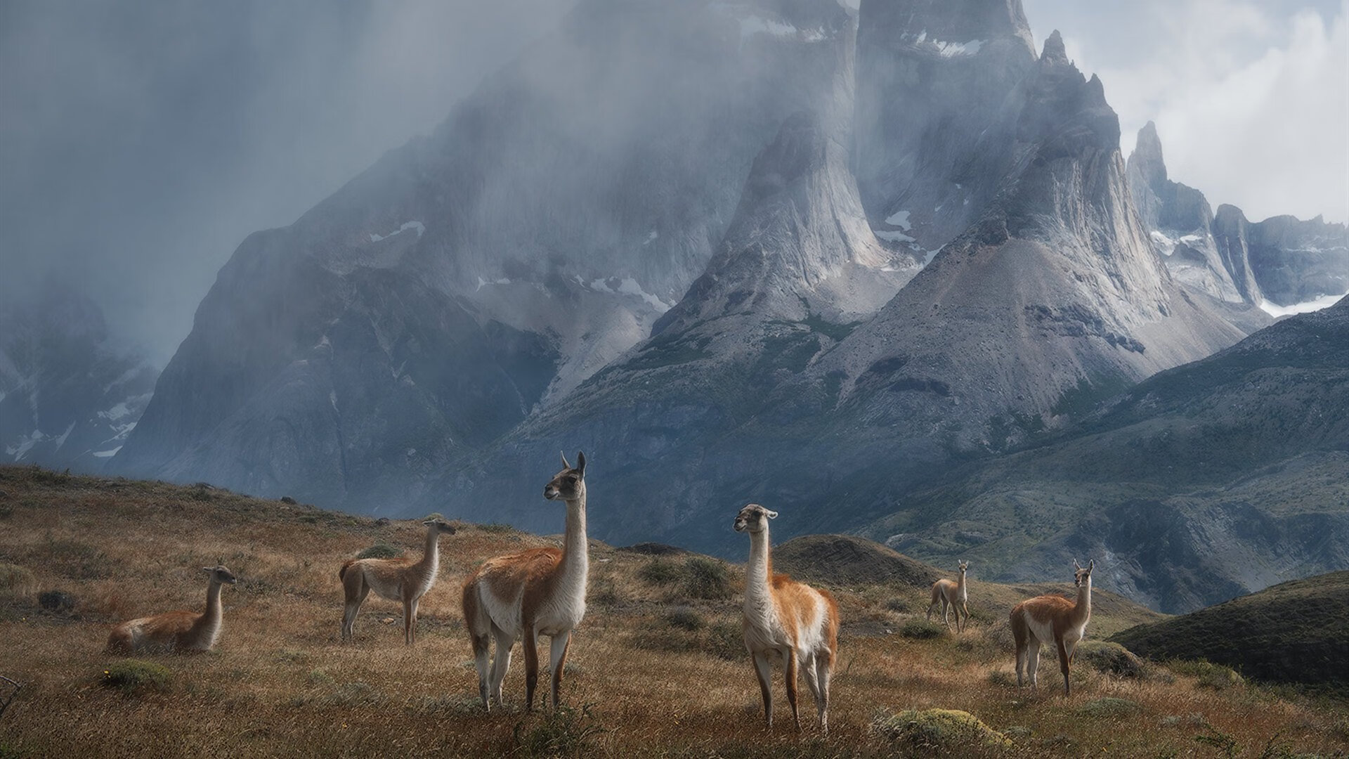开云·体育官网-足球职业联赛球队实力对比悬殊，盘赢信仰，足球联赛职业联盟