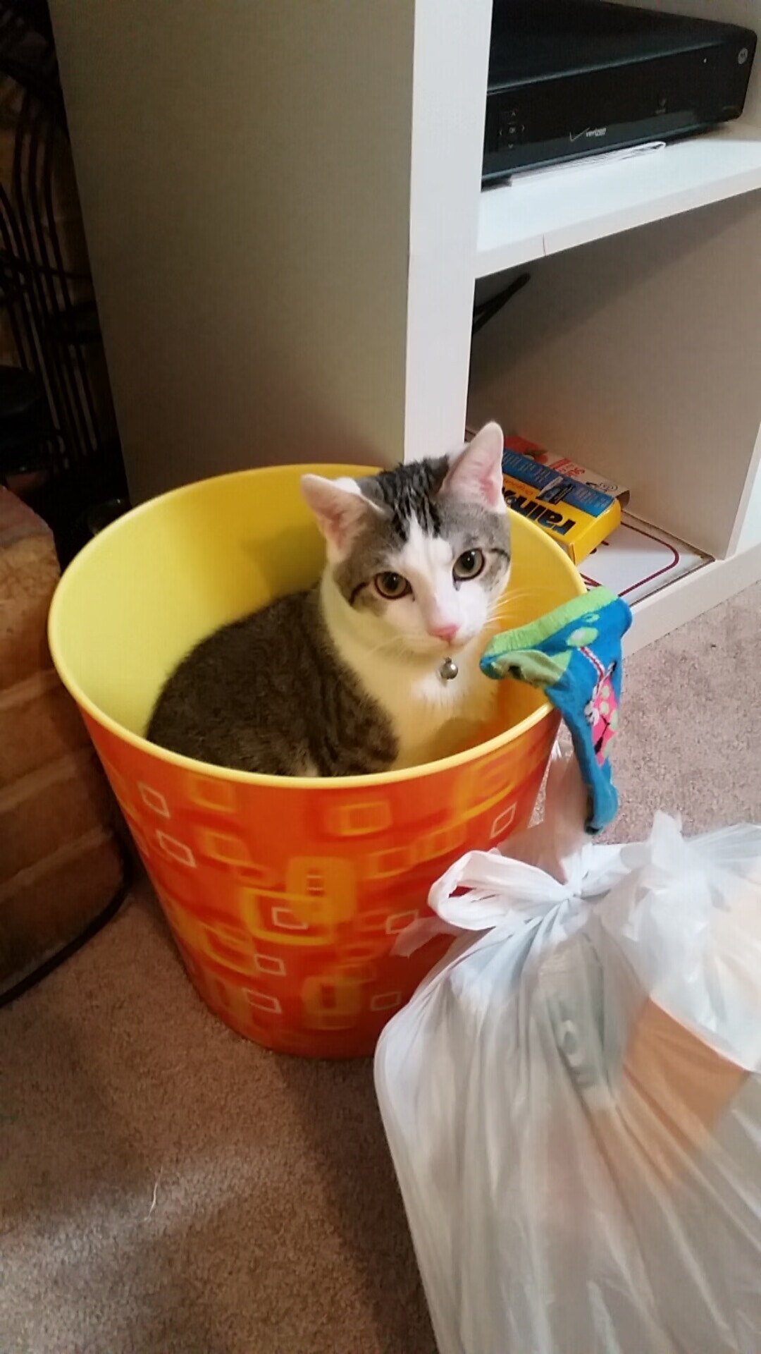 中国篮球教练员心理辅导能力提升与培训，篮球教练员培训班心得体会