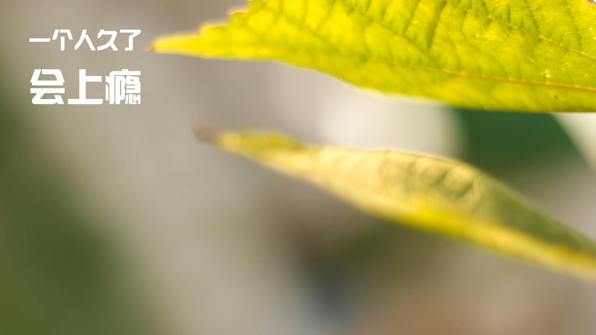 智慧健身系统应用效果调查,智慧健身中心看法