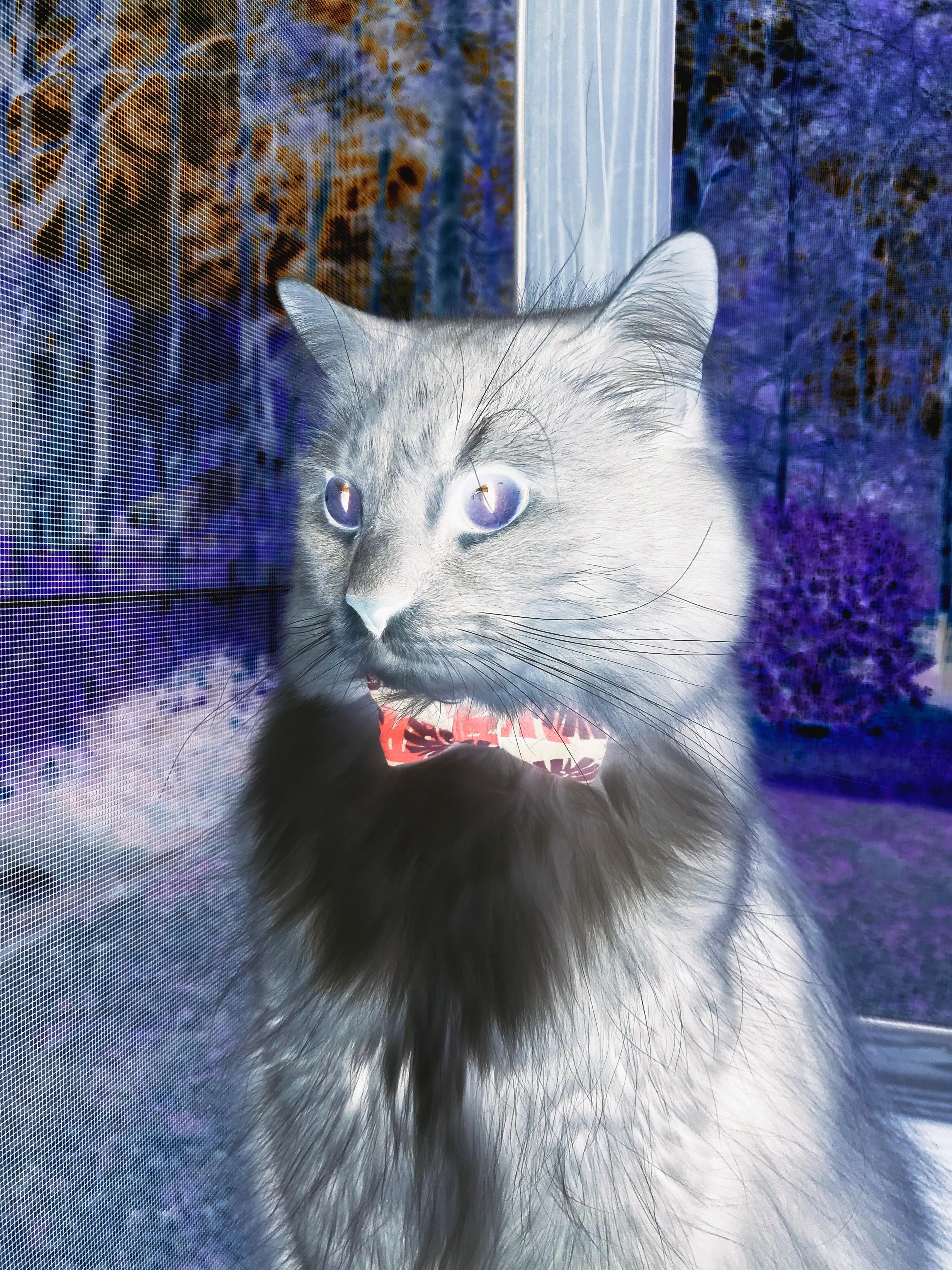 篮球运动员训练负荷监控系统设计与应用研究,篮球专项负荷设计与安排