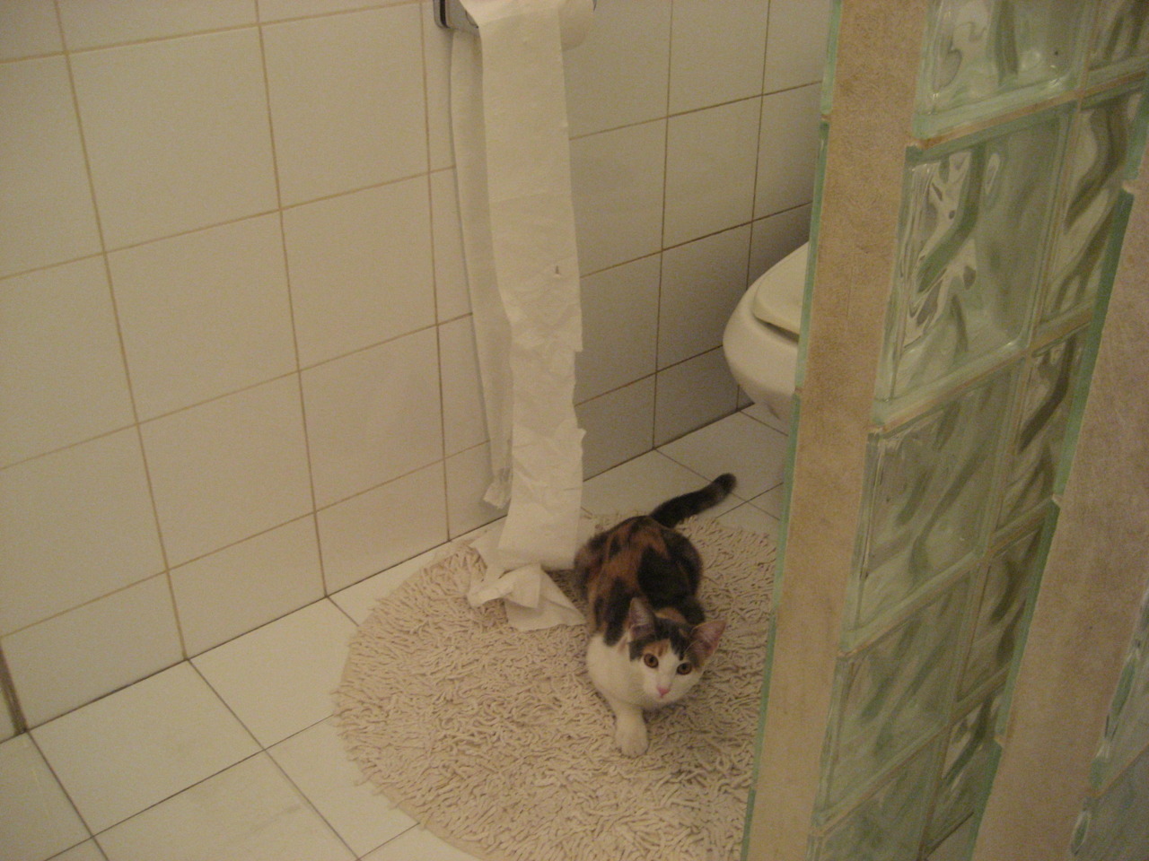 开云官网APP下载-球队领袖退役后关键替补能否顶上责任空缺，球星退役意味着什么