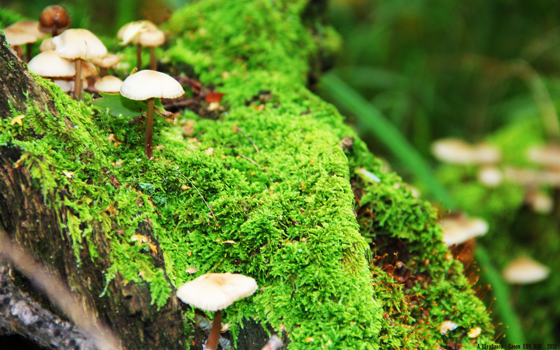 开云体育-中国足球职业联赛裁判员技术培训成效显著，2021足球裁判员培训报名