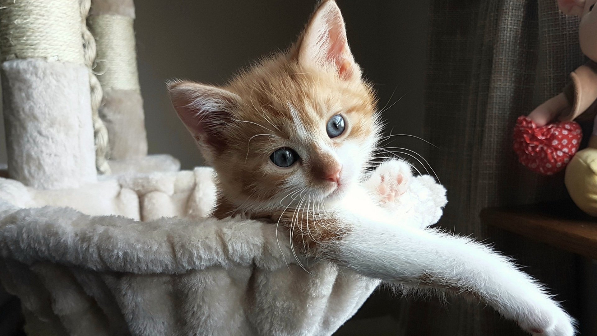 kaiyun网站-地方队教练参加全国交流营学习最新训练理念方法