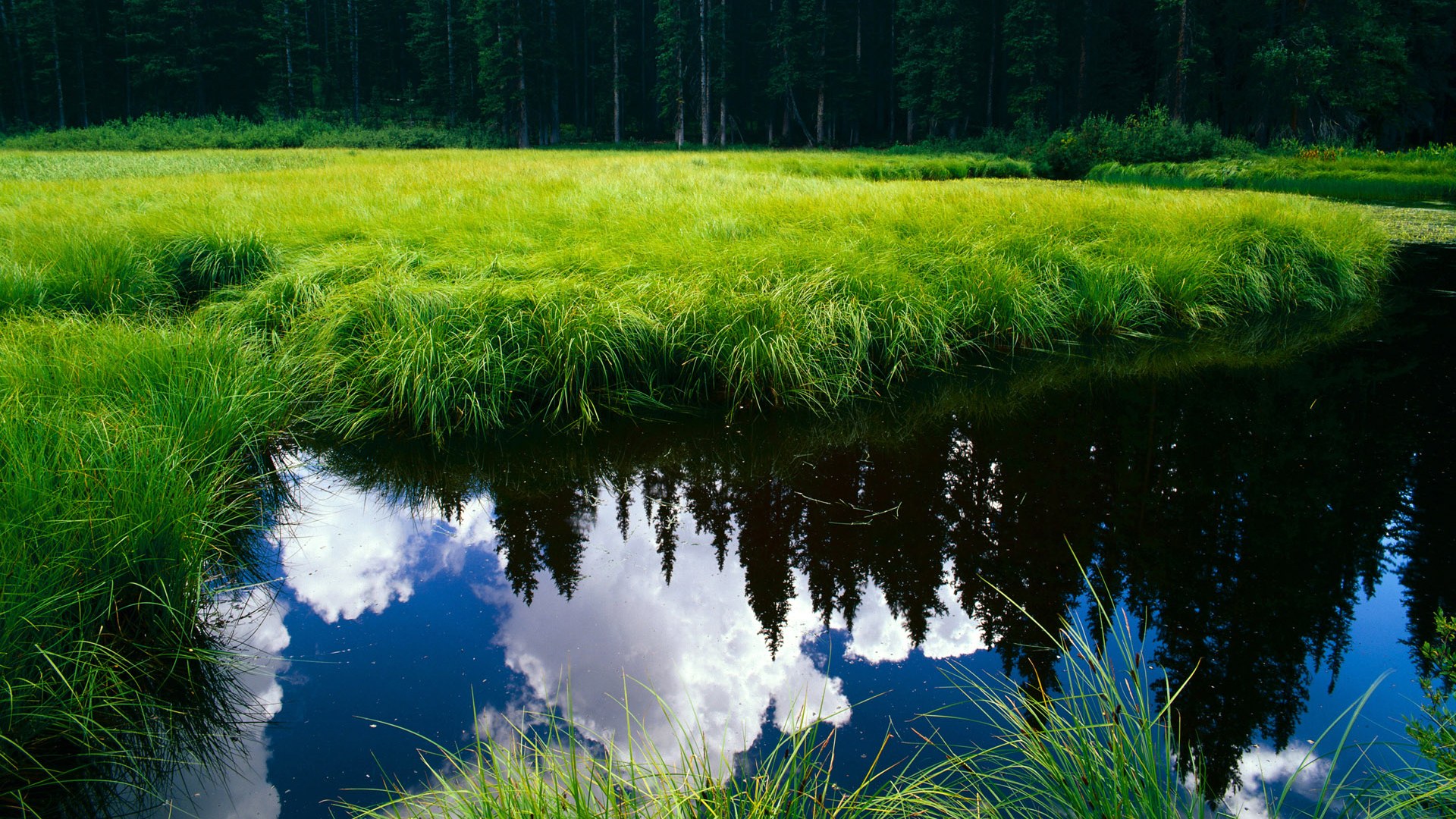 英超逆转天王:逆境中展现王者本色,英超王朝
