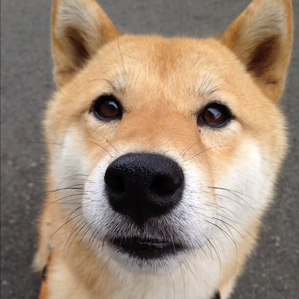 青少年足球教练员技能提升培训班全国开启,推动行业标准化,青少年足球培训营